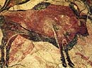 H&ouml;hlenbild aus der H&ouml;hle von Altamira