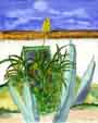 Blumenfenster