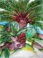 Palme