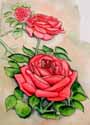Rosen 2