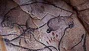 H&ouml;hlenmalerei aus der H&ouml;hle von Chauvet, Frankreich, ca. 30000 Jahre