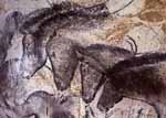 H&ouml;hle von Chauvet, Urpferde, ca. 30 000 Jahre