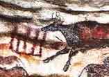 Stier aus der H&ouml;hle von Lascaux