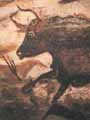 Raum der Stiere, Lascaux, Frankreich