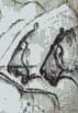 H&ouml;hle von Chauvet, L&ouml;wen, ca. 30 000 Jahre, Frankreich
